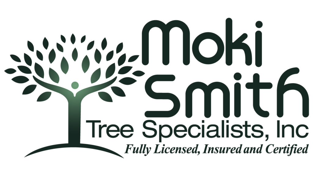 moki tree specialists logo