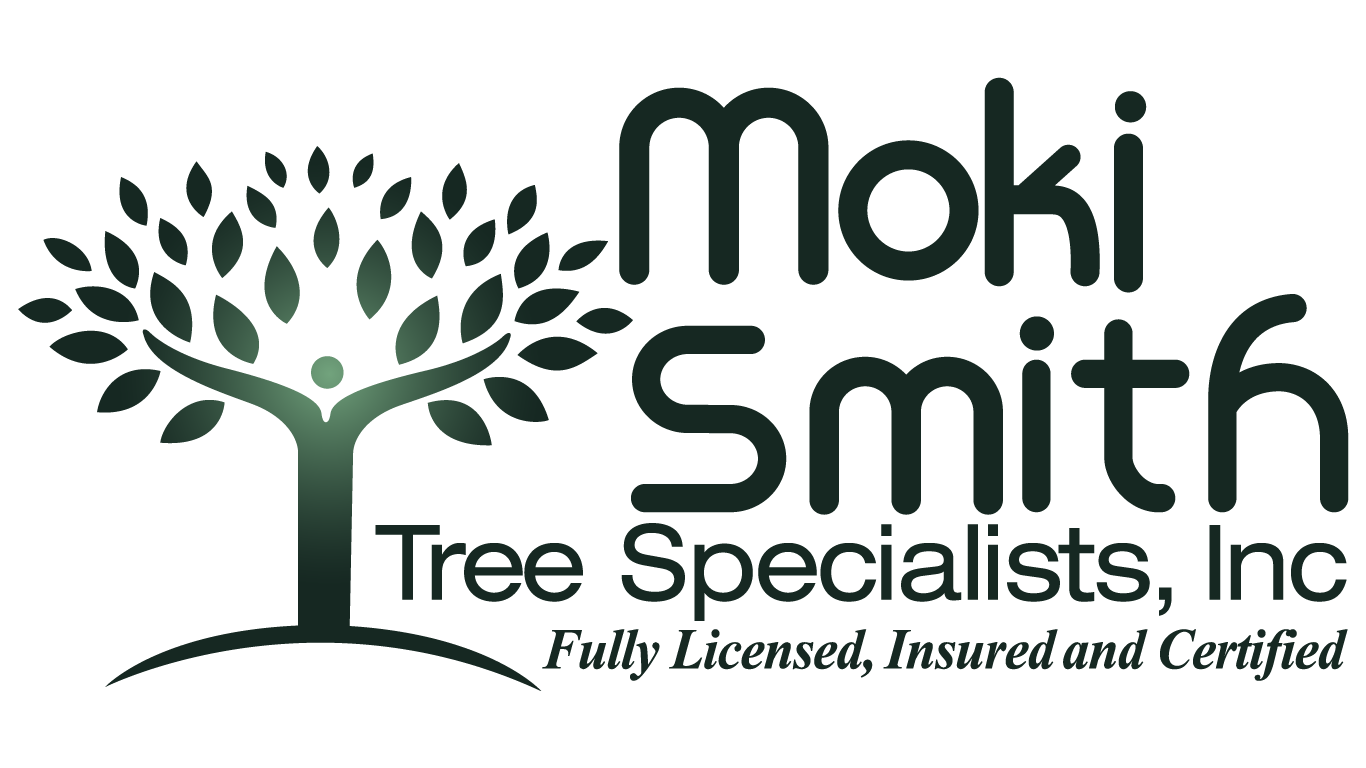 moki tree specialists logo